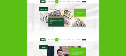 雷士光電官方網(wǎng)站建設(shè)項(xiàng)目 構(gòu)建專(zhuān)業(yè)數(shù)字門(mén)戶，照亮品牌未來(lái)